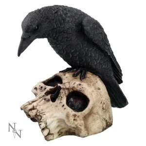 Ravens Remains Figurine