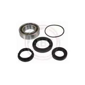 Rear Right Wheel Bearing Kit A.B.S. 200686